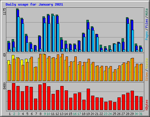 Daily usage for January 2021