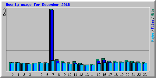 Hourly usage for December 2018