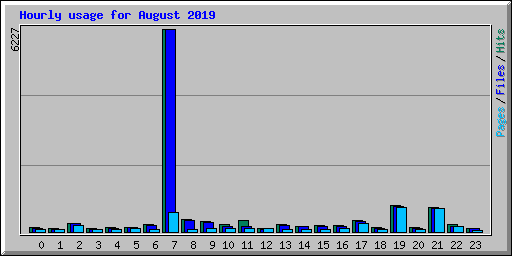 Hourly usage for August 2019