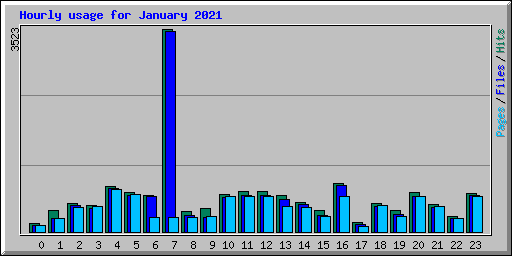 Hourly usage for January 2021