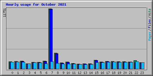 Hourly usage for October 2021