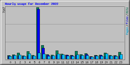 Hourly usage for December 2022