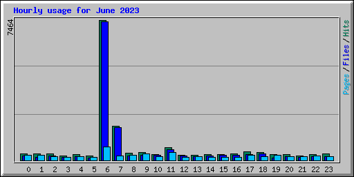 Hourly usage for June 2023